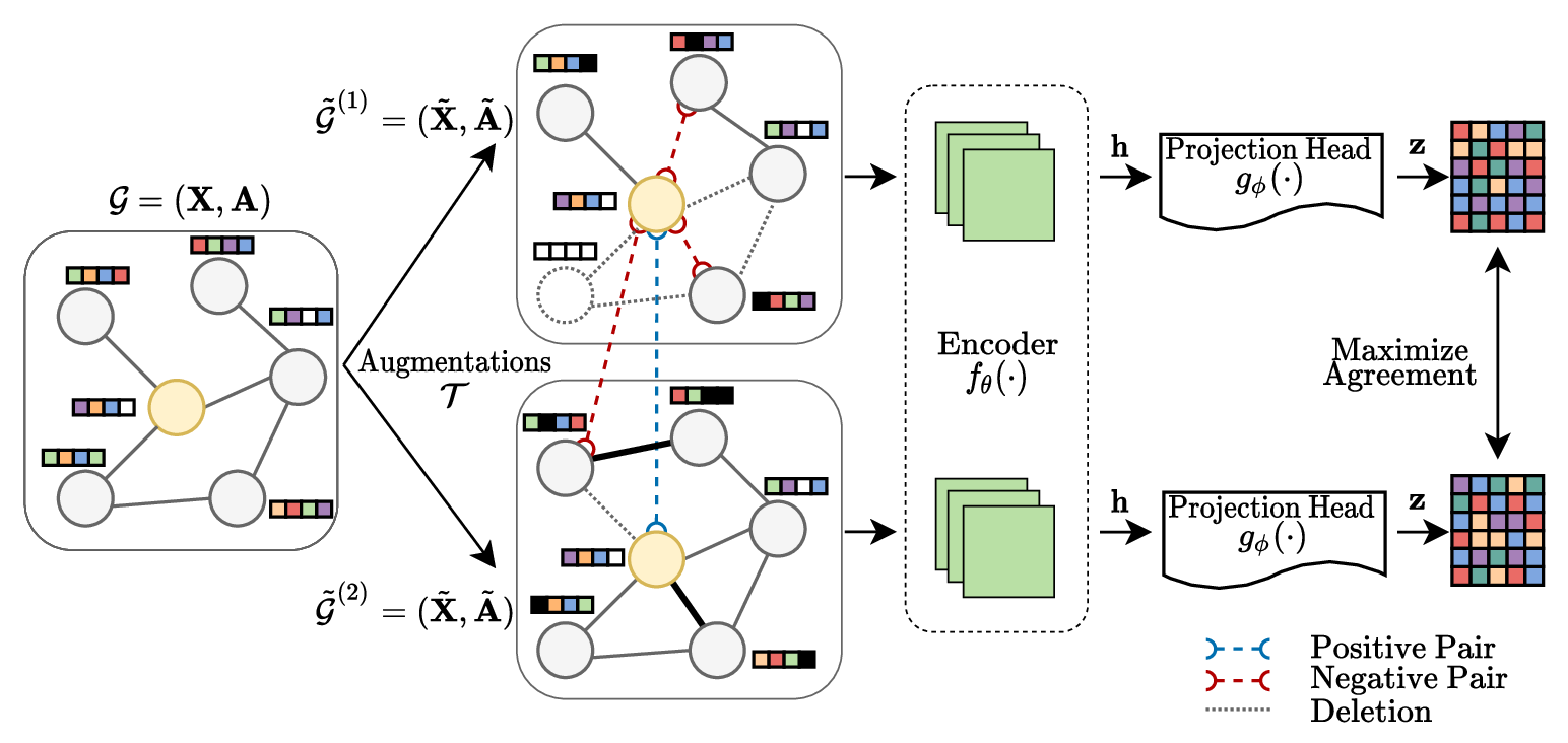 Contrastive Visualization