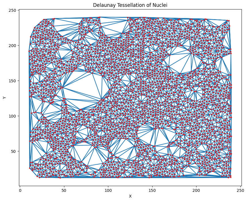 Delaunay Triangulation Visualization